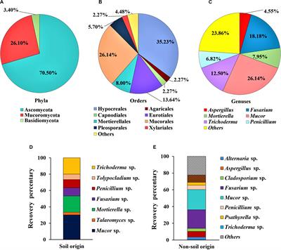 Diversity of Cellulase-Producing Filamentous Fungi From Tibet and Transcriptomic Analysis of a Superior Cellulase Producer Trichoderma harzianum LZ117